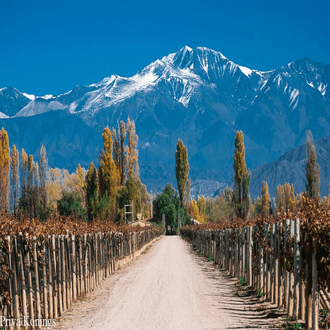 Vol de dernière minute vers Mendoza