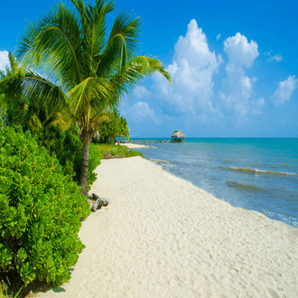 Last-Minute-Flug nach Placencia