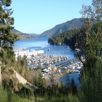 Last minute flight to Maple Bay