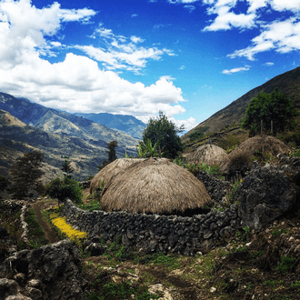 Last minute flight to Wamena