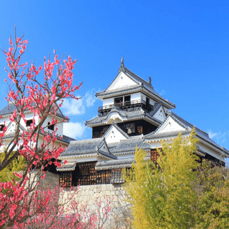 Last-Minute-Flug nach Matsuyama