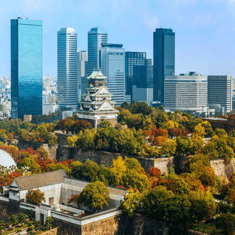 Vol de dernière minute vers Ōsaka