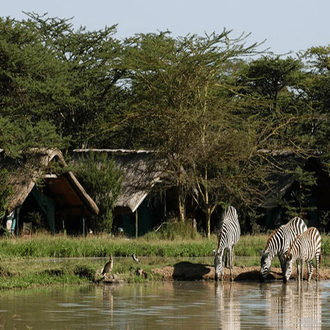 Vol de dernière minute vers Nanyuki