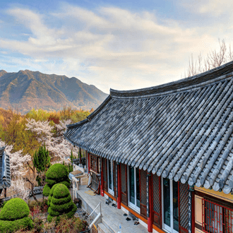 Vol de dernière minute vers Daegu