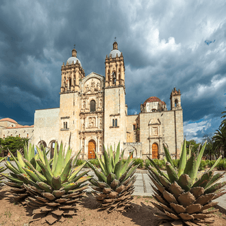 Last minute flight to Oaxaca