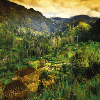 Last minute flight to Mount Hagen