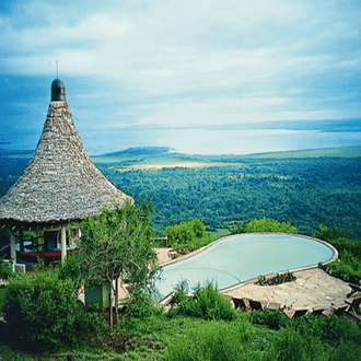 Last minute flight to Lake Manyara